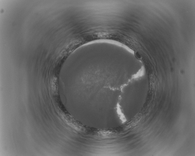 X0000068770650200605262207