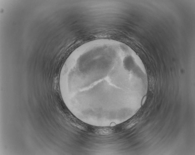 X0000068770652200605262207