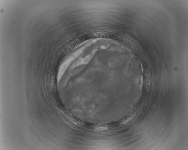 X0000068770653200605262207