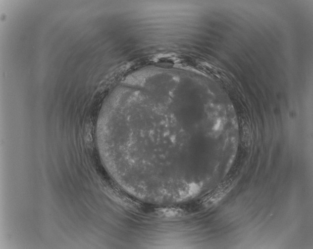 X0000068770654200605262207