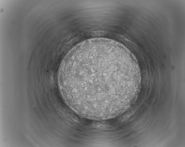 X0000068770655200605262207