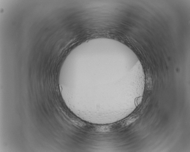 X0000068770656200605262207