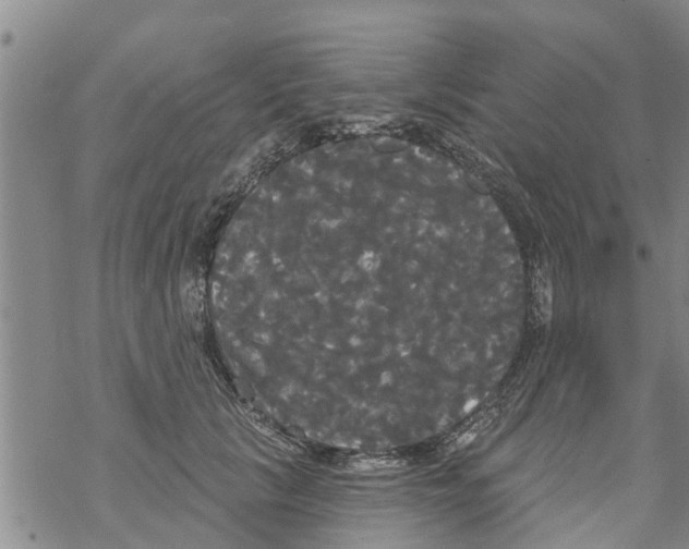 X0000068770657200605262207