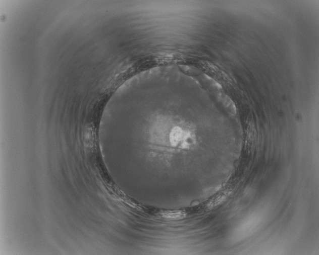 X0000068770659200605262207