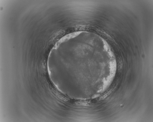 X0000068770661200605262207