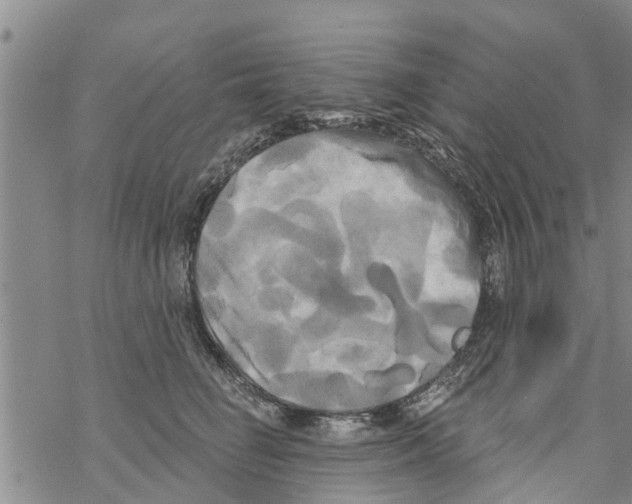 X0000068770662200605262207