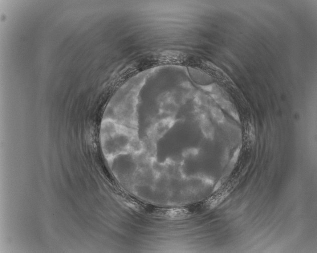 X0000068770663200605262207