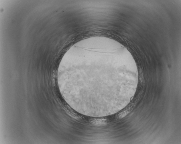 X0000068770664200605262207