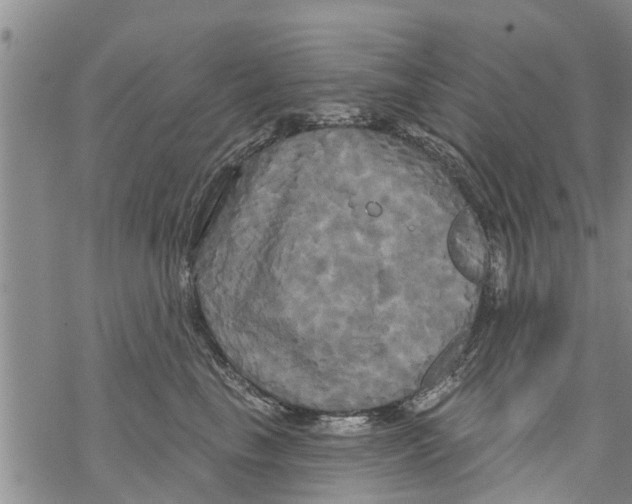 X0000068770665200605262207