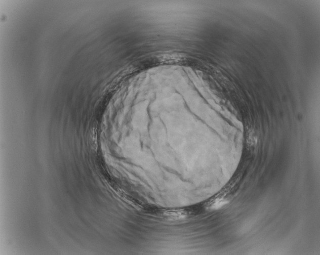 X0000068770666200605262207