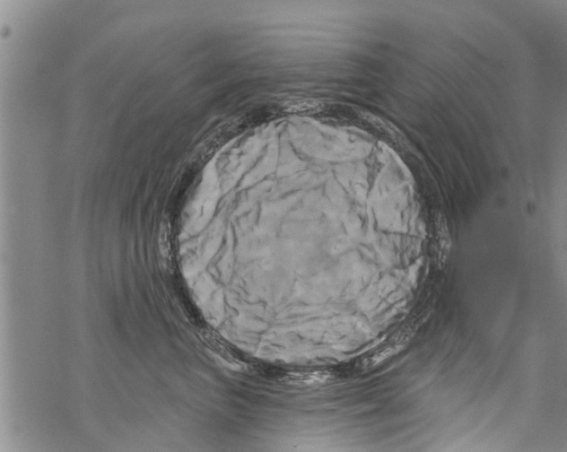 X0000068770667200605262207