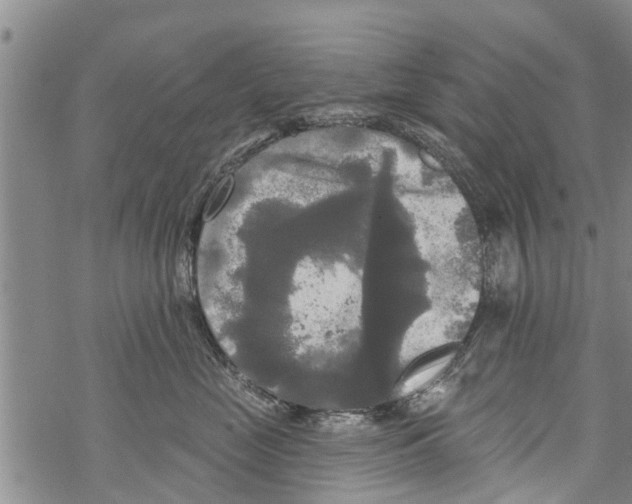 X0000068770669200605262207