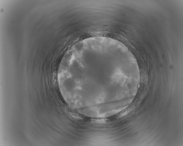 X0000068770671200605262207