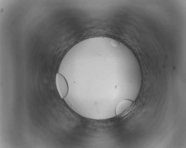 X0000068770672200605262207