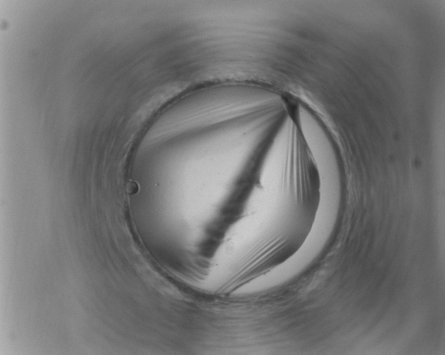 X0000068770673200605262207