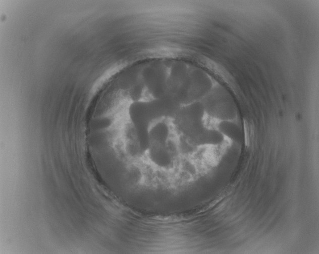 X0000068770675200605262207