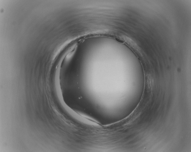 X0000068770676200605262207