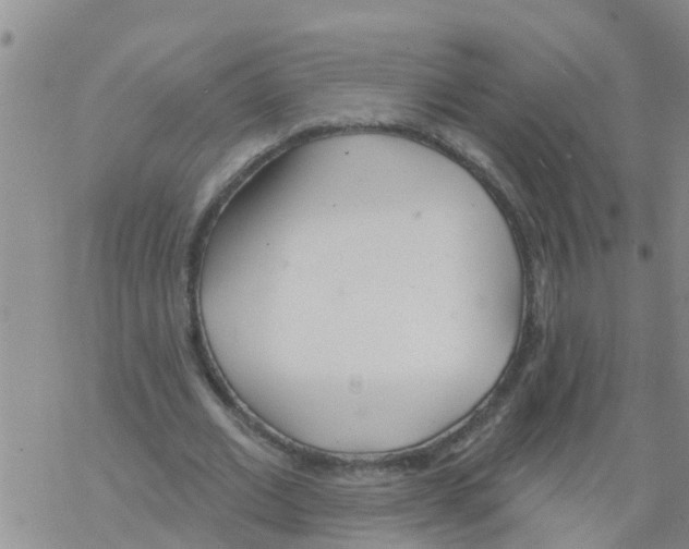 X0000068770677200605262207