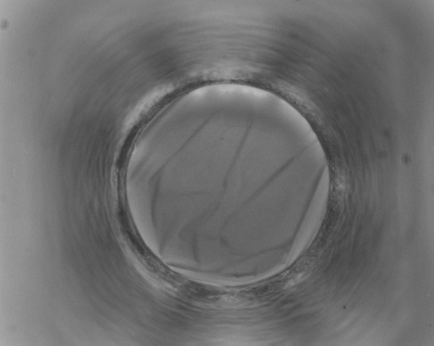 X0000068770678200605262207