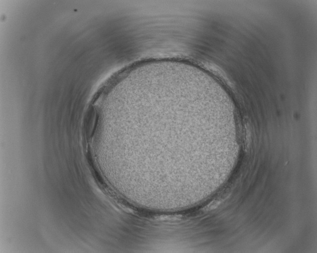 X0000068770680200605262207