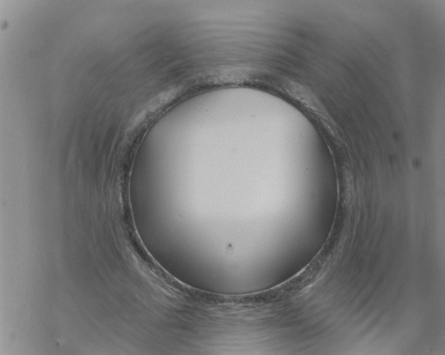 X0000068770681200605262207