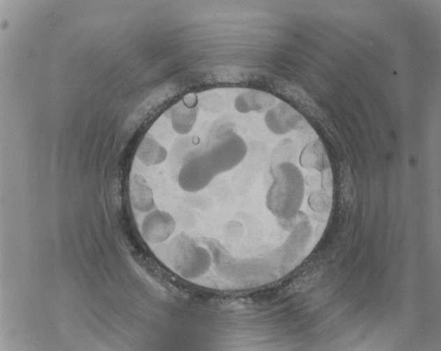 X0000068770683200605262207