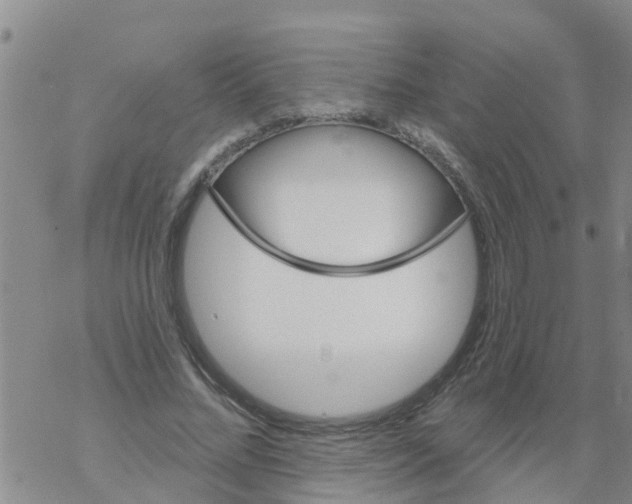 X0000068770684200605262207