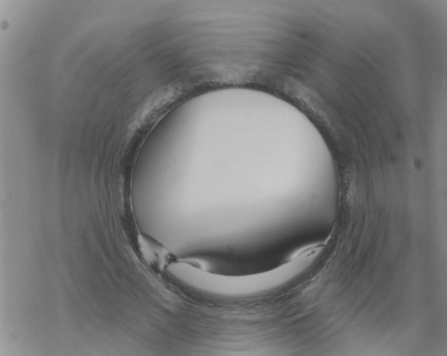 X0000068770685200605262206