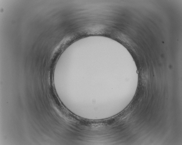 X0000068770686200605262206