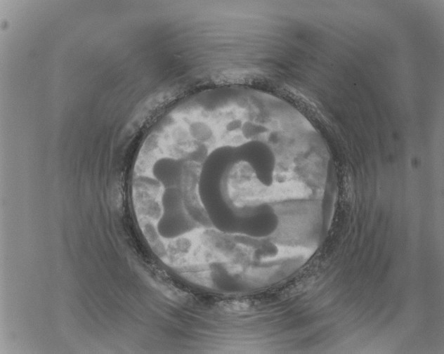 X0000068770687200605262206