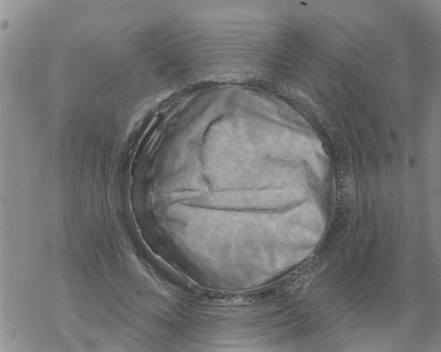 X0000068770688200605262206