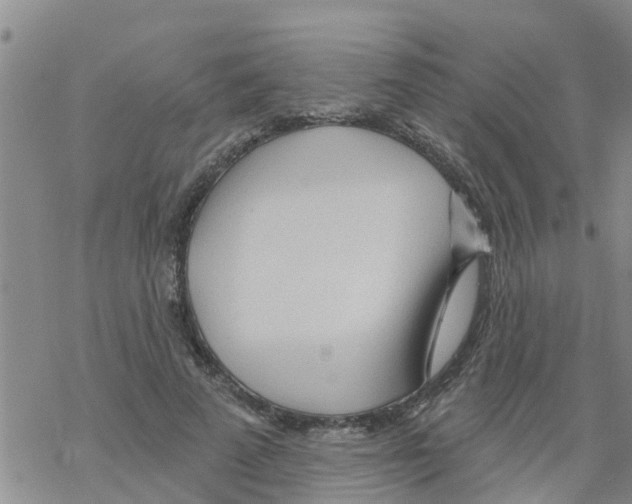 X0000068770689200605262206