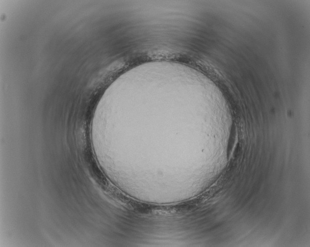 X0000068770690200605262206