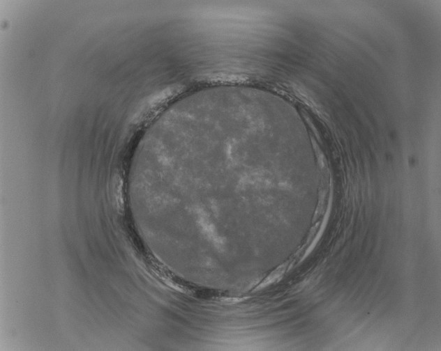 X0000068770692200605262206