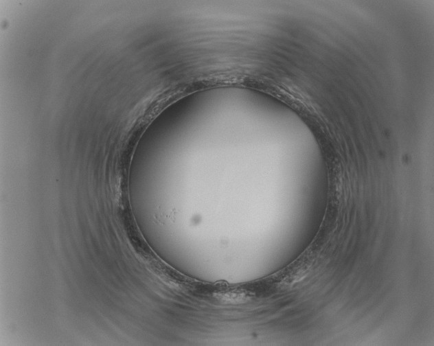 X0000068770693200605262206