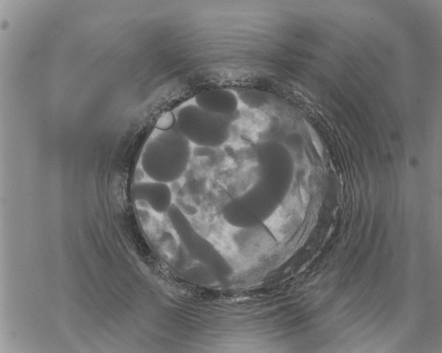 X0000068770695200605262206