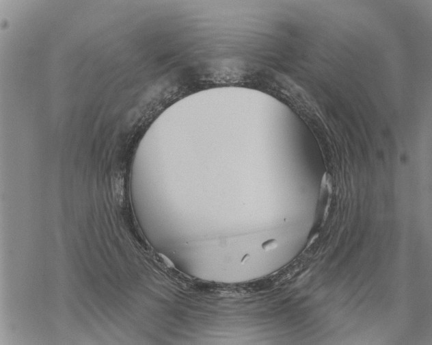 X0000068770697200605262206