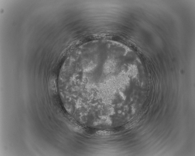 X0000068770699200605262206