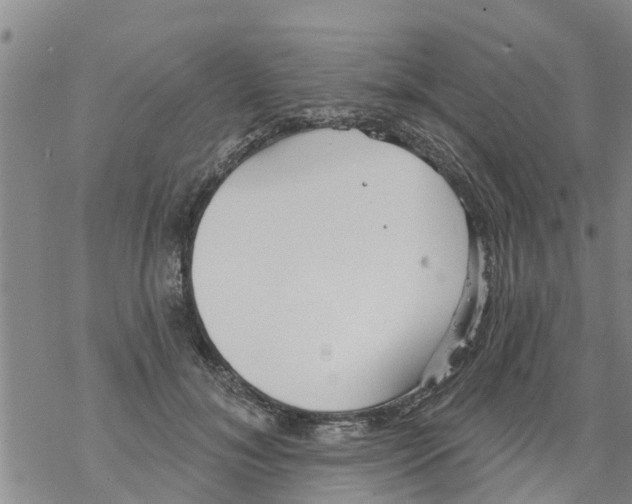 X0000068770700200605262206