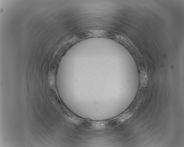 X0000068770701200605262206