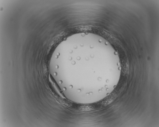 X0000068770704200605262206