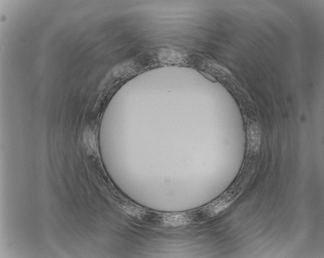 X0000068770705200605262206