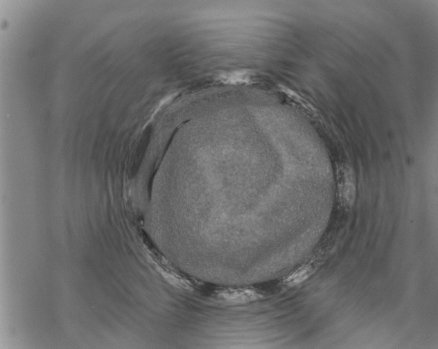 X0000068770712200605262206