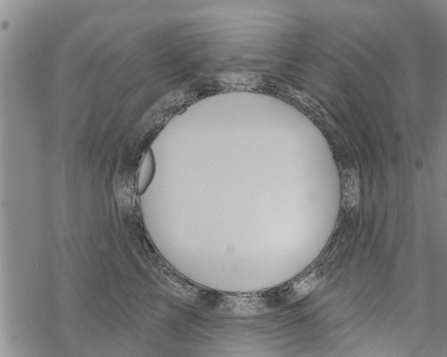 X0000068770713200605262206