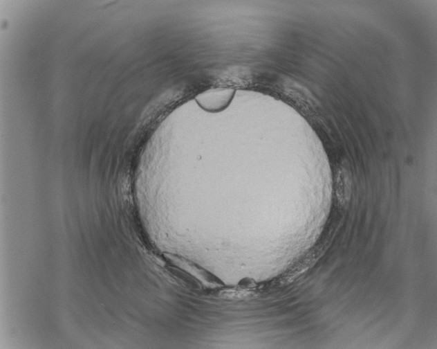 X0000068770714200605262206