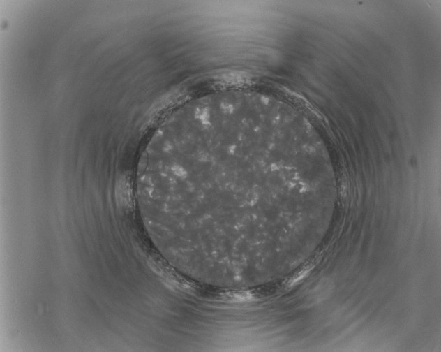 X0000068770715200605262206