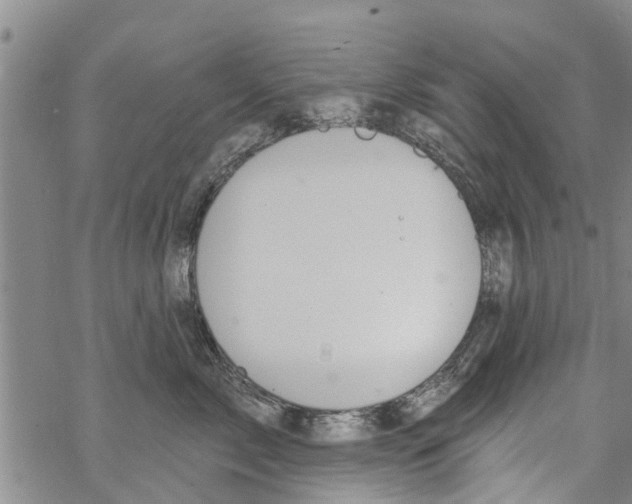 X0000068770717200605262206