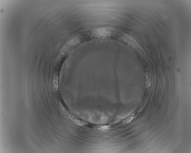 X0000068770718200605262206