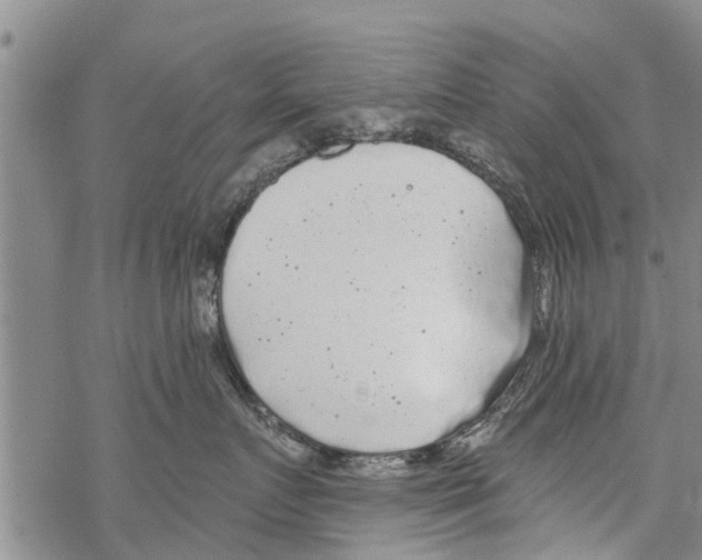 X0000068770719200605262206