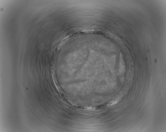 X0000068770720200605262206